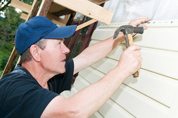 Best Storm Damage Siding Repair  in Shady Hollow, TX